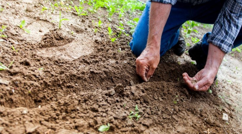 Sector Agropecuario sufre la peor contracción en 30 años