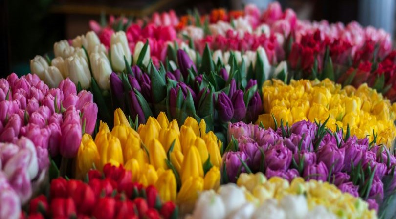 Las ventas de florerías durante la campaña de San Valentín crecieron 1,000% según Niubiz