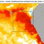 Riesgo en la pesca y los negocios tras mantenerse la alerta de El Niño Costero en el Perú